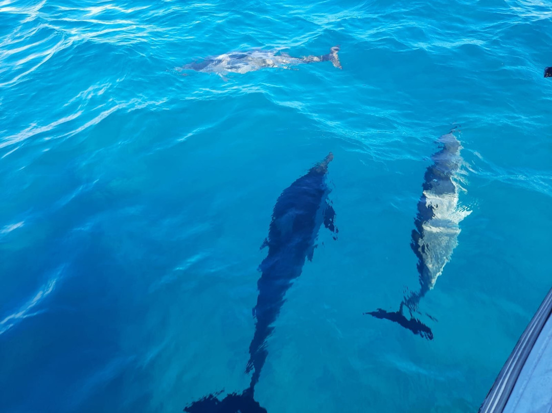 Mayotte Decouverte-Mamoudzou必去景点