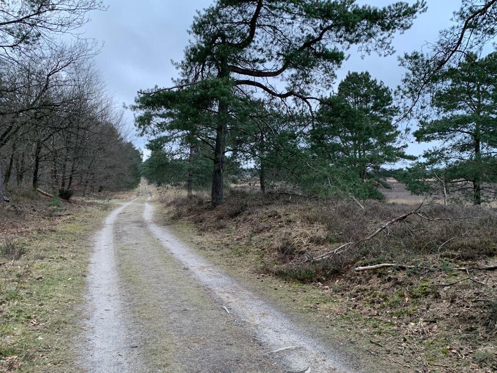 Zandenbos-Nunspeet必去景点