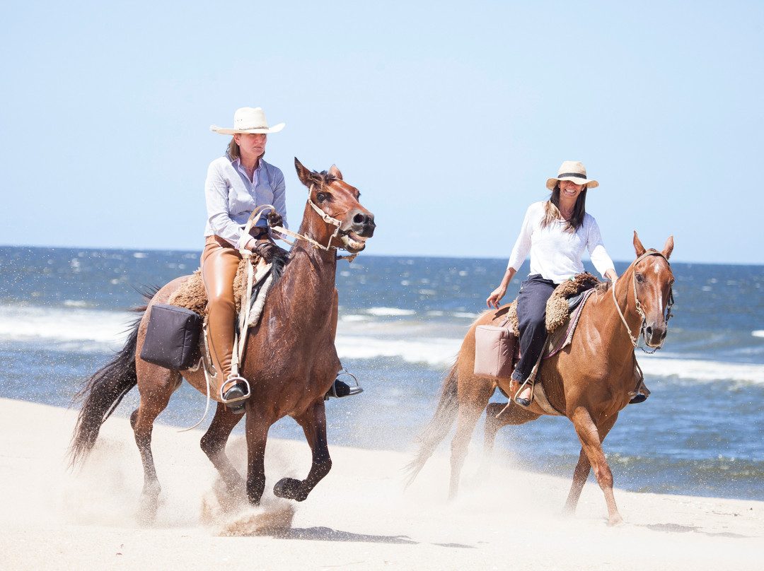 Lares Cabalgatas & Paseos