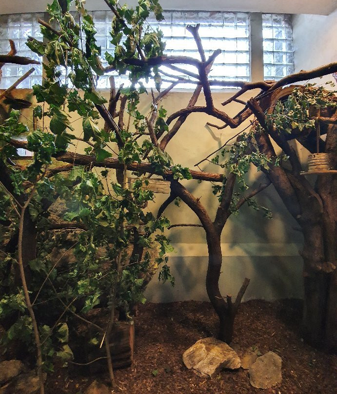 Zoo Plock景点图片