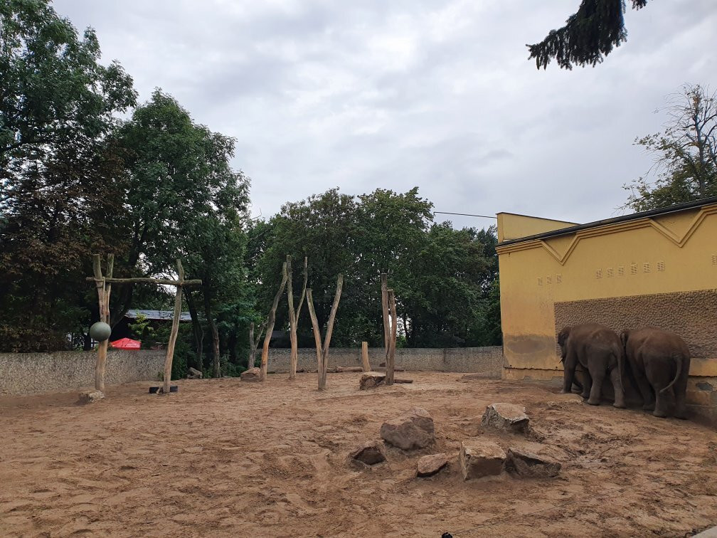 Zoo Plock景点图片