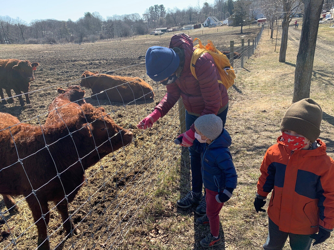 Codman Community Farms-Lincoln必去景点