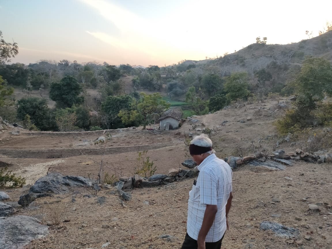 The Sky Imperial Jungle Camp Resort, Kumbhalgarh-酒店景观