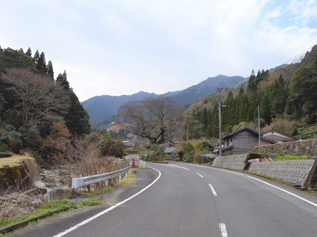 Utegenka no Yu Kiura Meisuikan-佐伯市必去景点