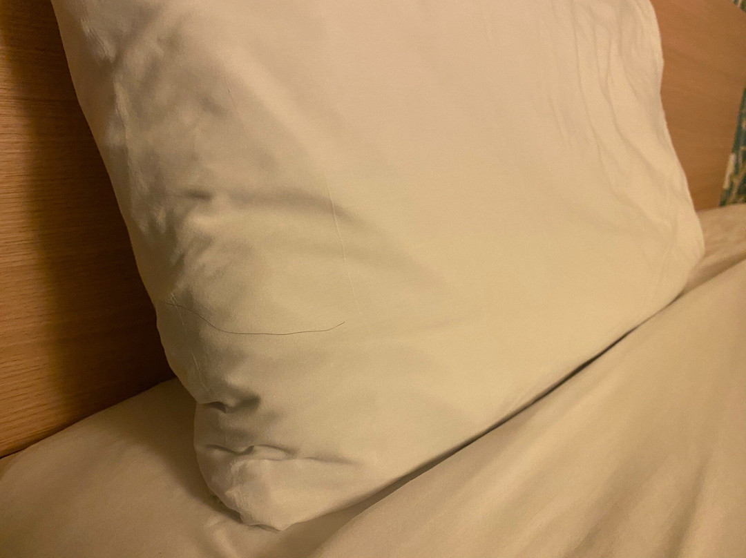 Fairfield Inn & Suites Villahermosa Tabasco主图