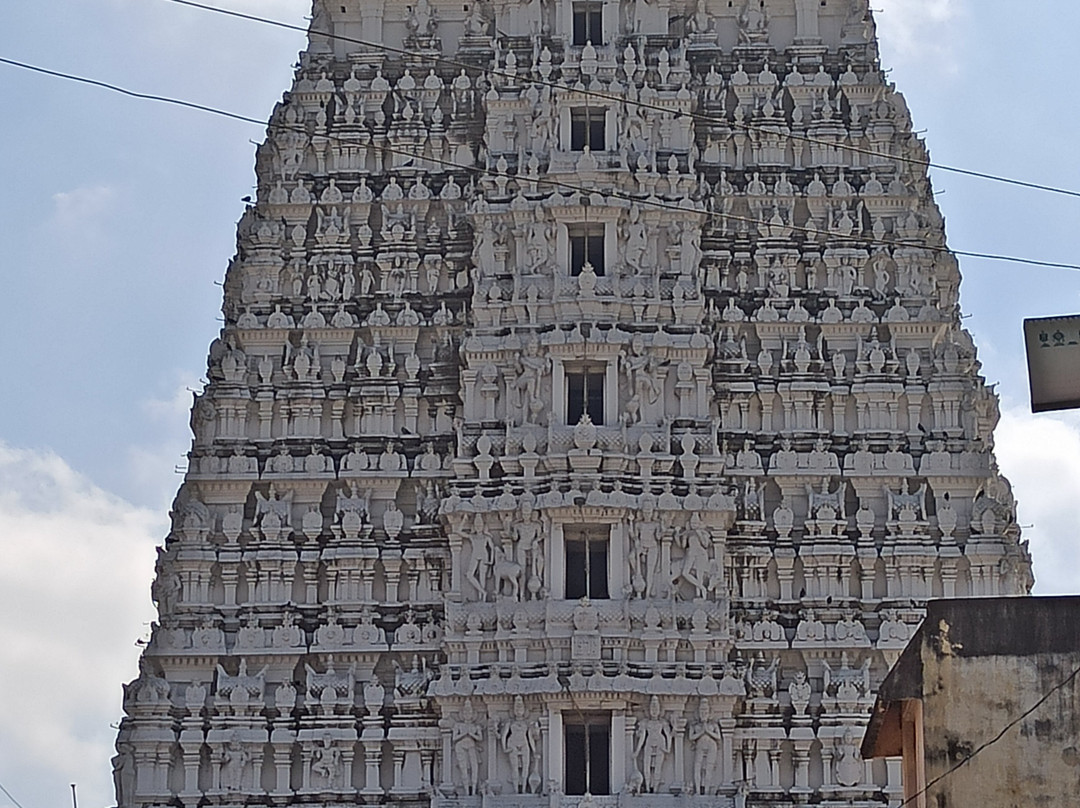 Sri Govindarajaswami Temple景点图片