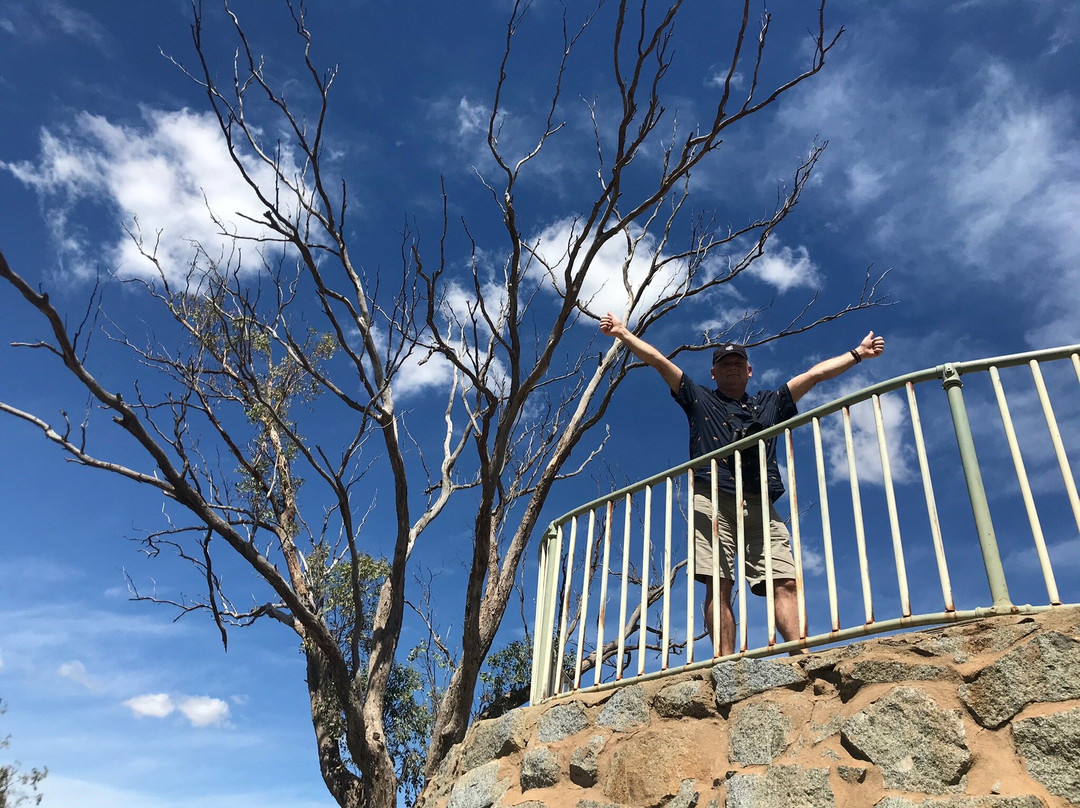 Bellevue Hill Reserve and Lookout景点图片