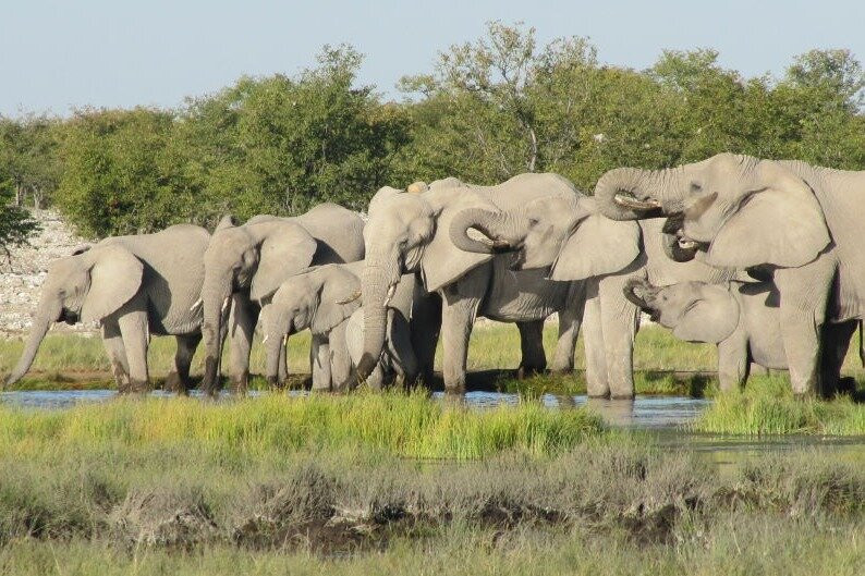 Dusty Trails Safaris & Car Hire Namibia-温德和克必去景点