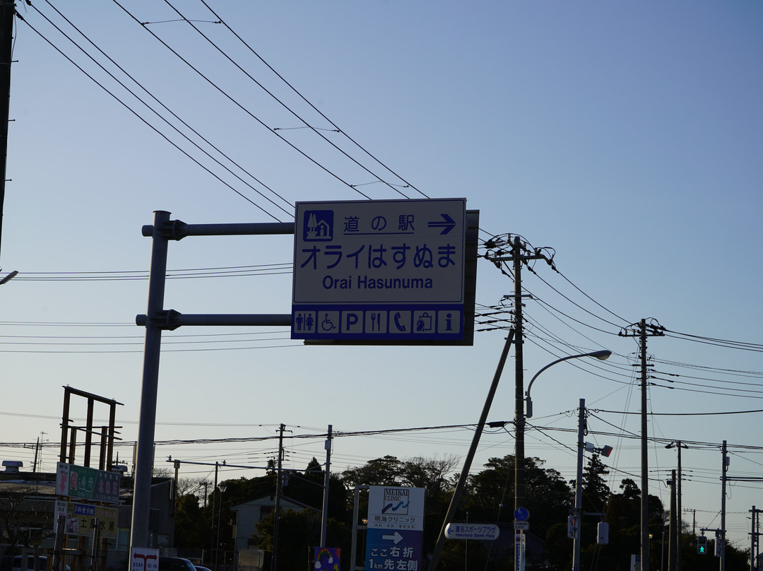 Michi-no-Eki Orai Hasunuma-山武市必去景点