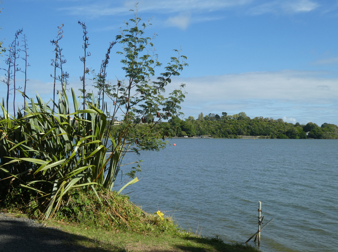 Orakei Basin - not Orakei Korako!景点图片