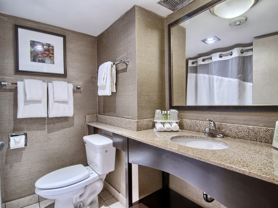 Holiday Inn Express Detroit-birmingham By IHG主图