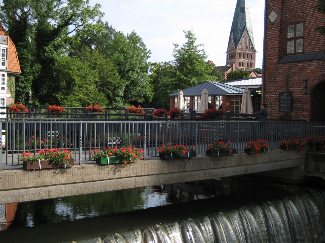 Stintmarkt im Lüneburger Hafen-吕讷堡必去景点