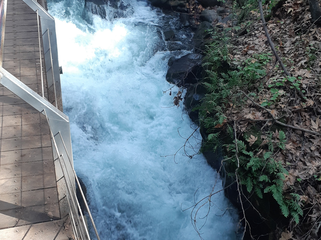 Hermon Stream Nature Reserve-Merom Golan必去景点