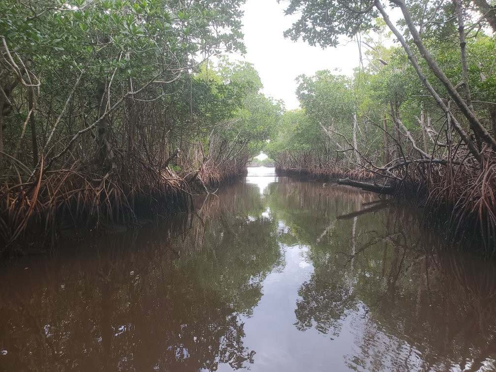 Speedy's Airboat Tours-大沼泽地必去景点