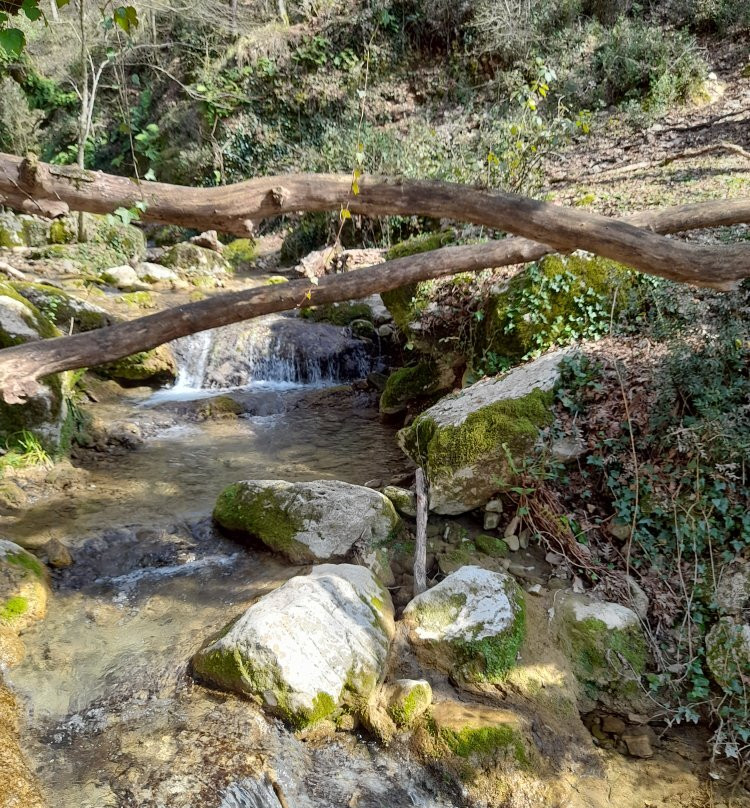 Monumento Naturale Valle delle Cannucceta景点图片