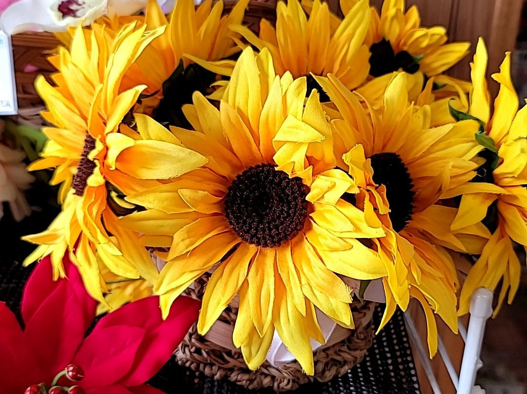 Crafts Way Llc-阿伊亚必去景点