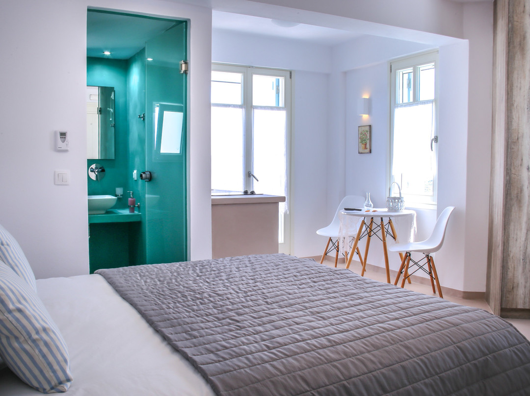 阿尼莫米洛伊开放式公寓主图