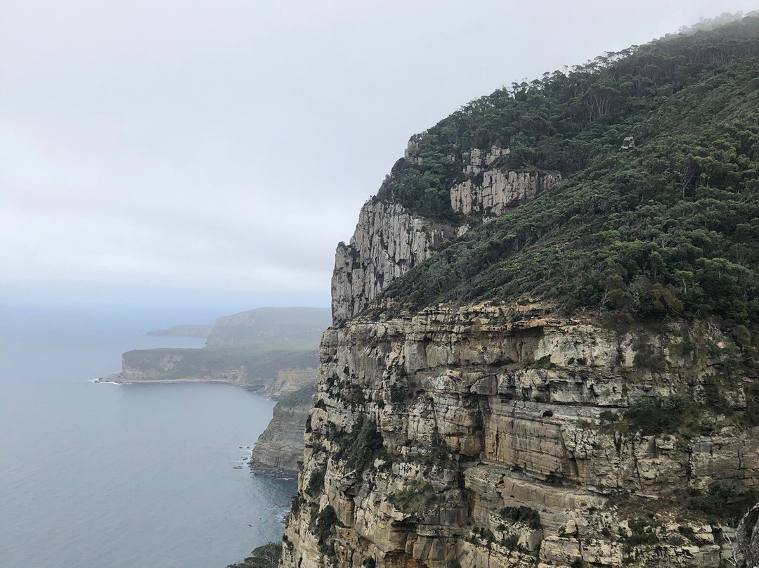 Cape Raoul-亚瑟港必去景点