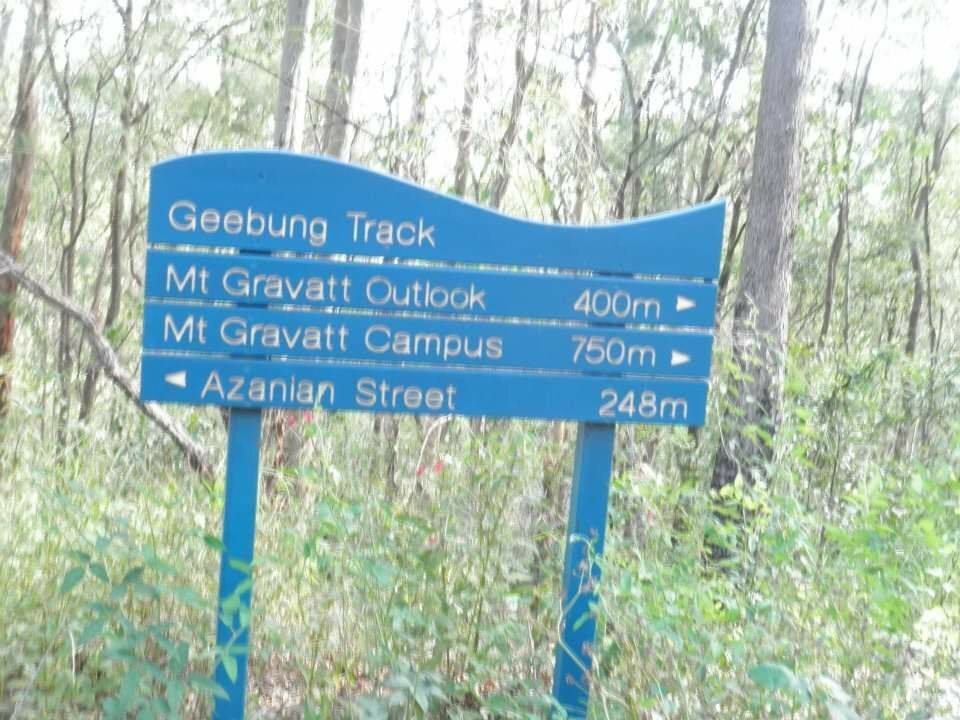 图海森林-布里斯班必去景点