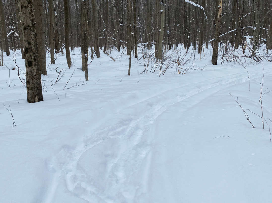 Observatory Park-Montville必去景点
