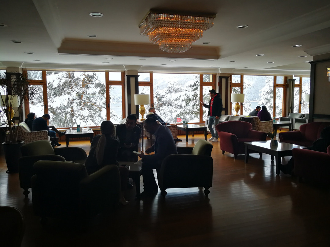Grand Abant Hotel (Buyuk Abant Hotel)主图