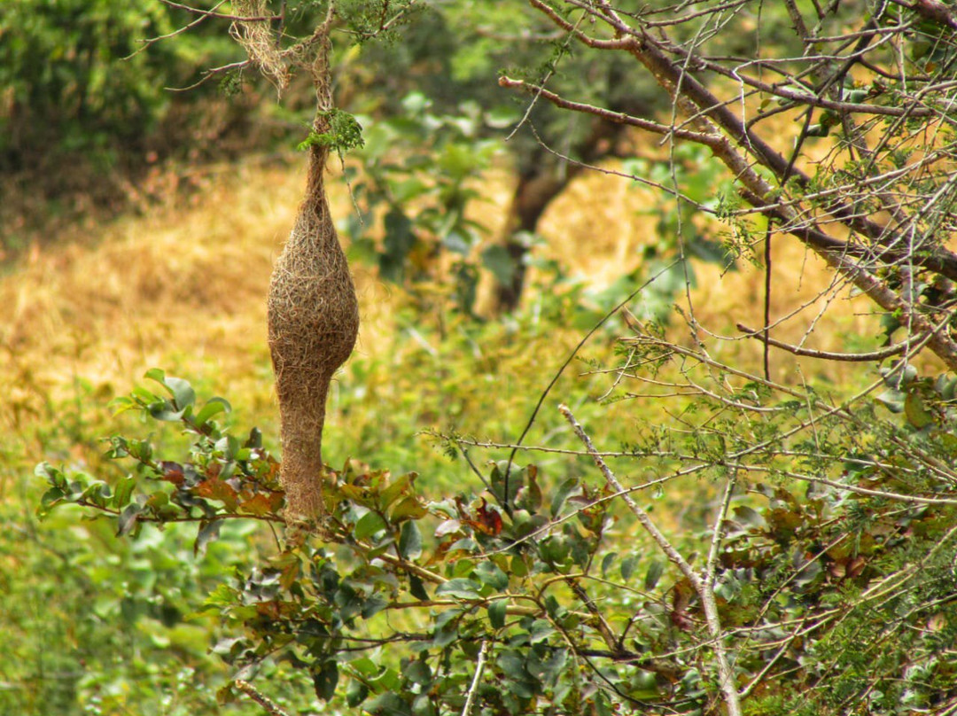 Venna Agro Tourism主图