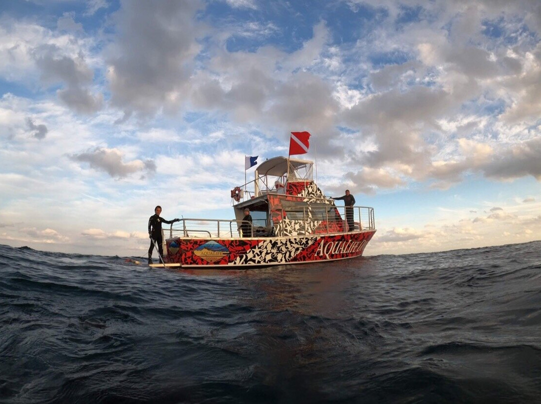 AquaLife Divers-庞帕诺比奇必去景点