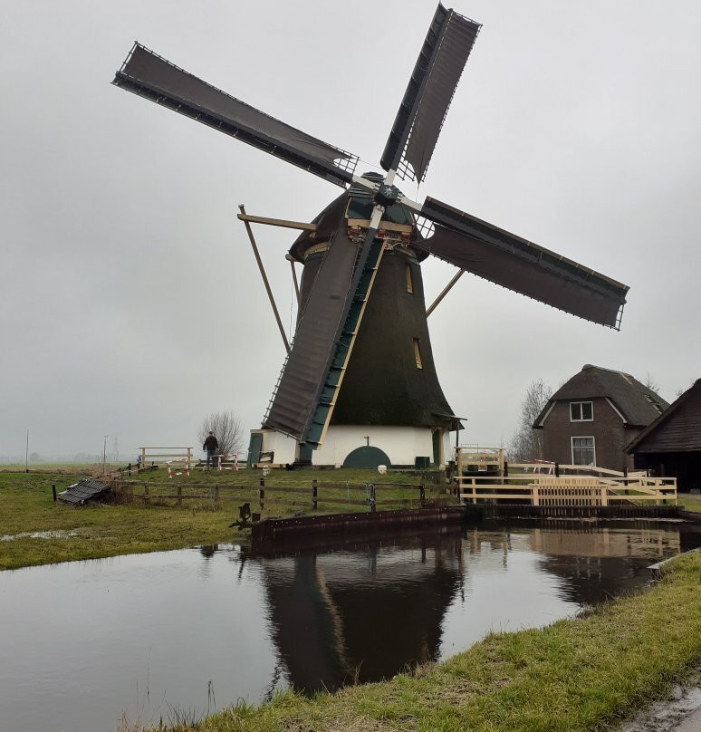 Molen De Onrust, Alias Meermolen景点图片
