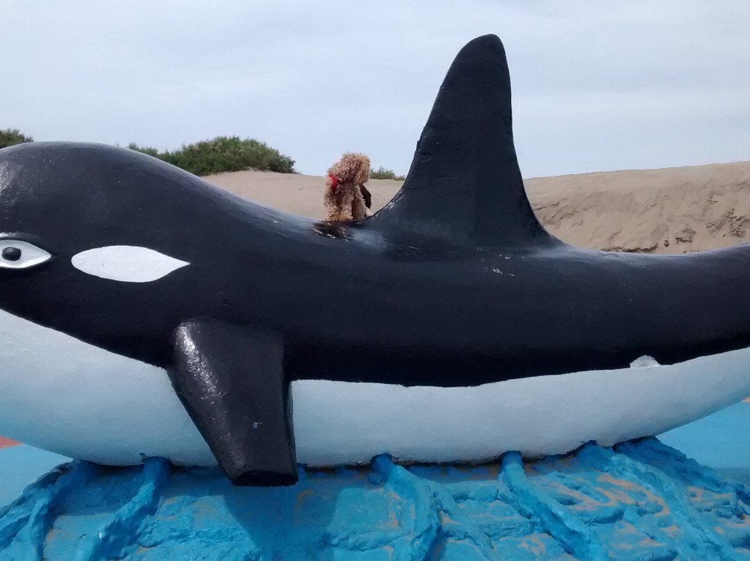 Paseo De La Orca-Mar de Ajo必去景点