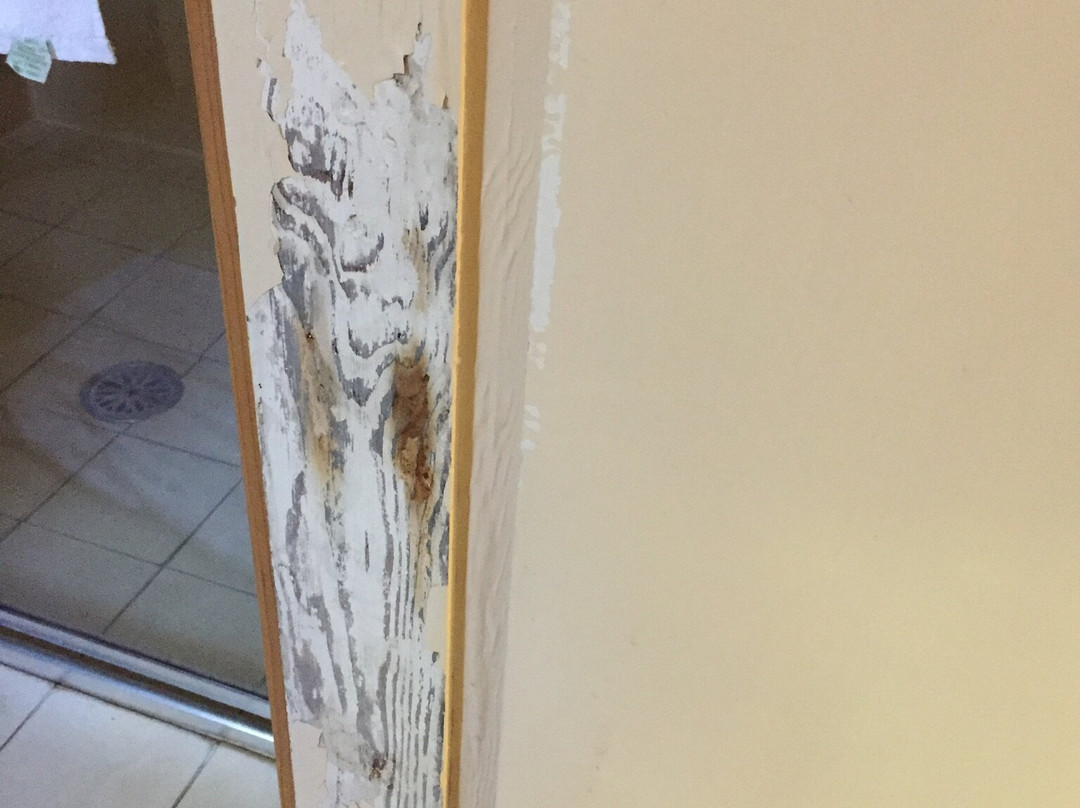 Jenolan Caves House主图