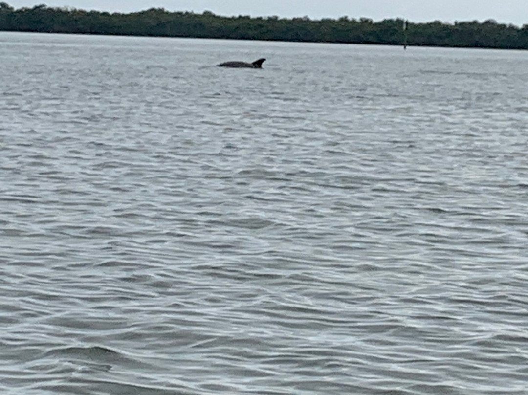 Top Water Kayak-Tierra Verde必去景点