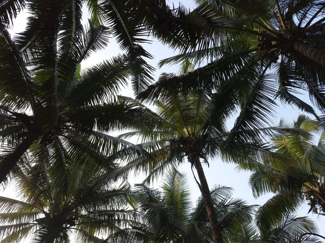 Shantai By The Lake主图