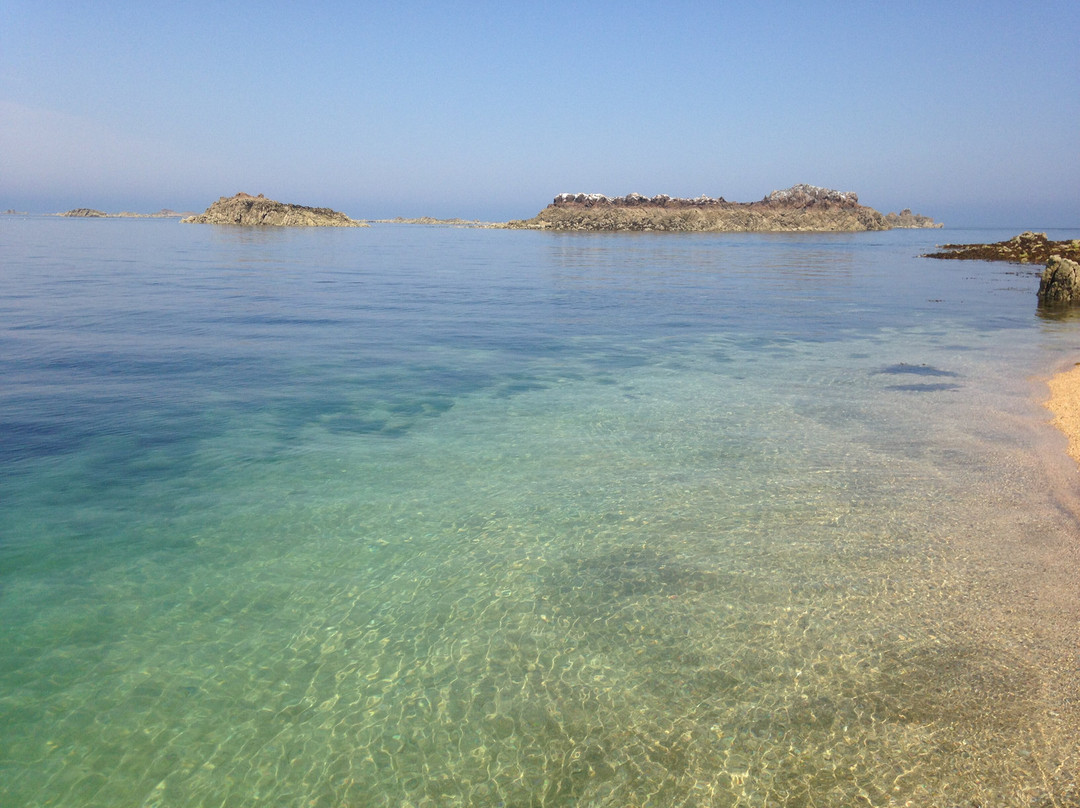 Bouley Bay Dive Centre-Trinity必去景点