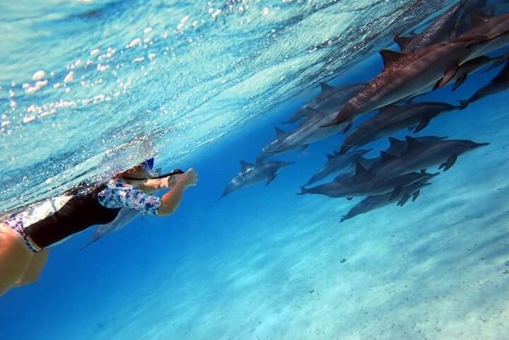 Marsa Waves Activities - Marsa alam