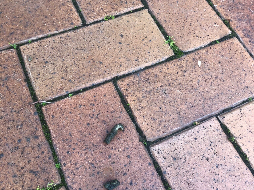 Horizons Golf Resort-Salamander Bay必去景点