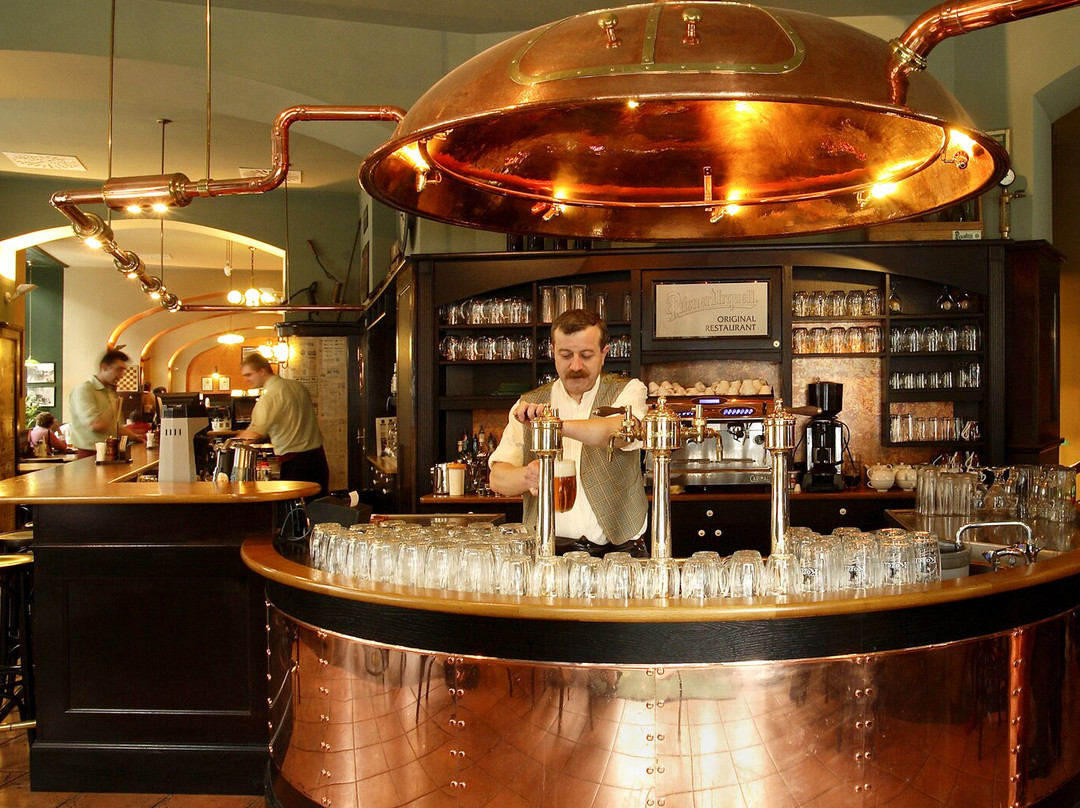 Kolkovna V Kolkovně主图