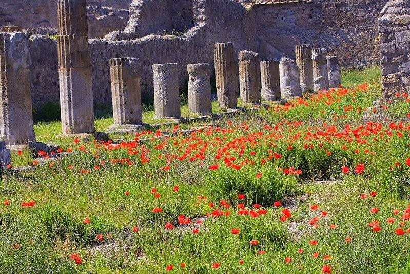 The Italian Connection-Itala必去景点