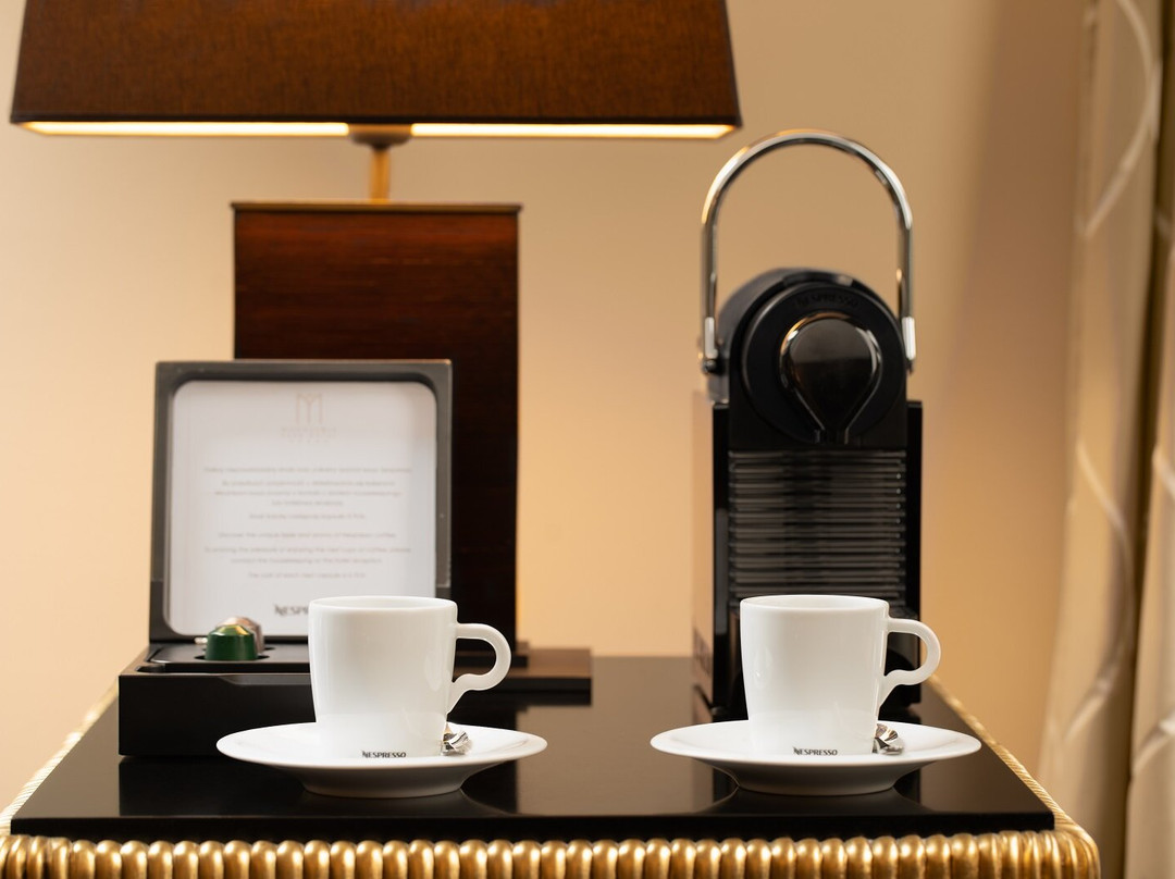 Modrzewie Park Hotel & SPA主图