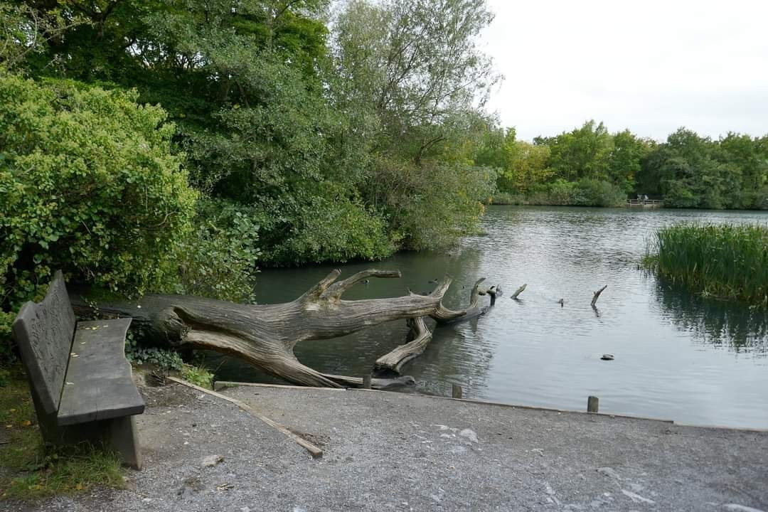 Stover Country Park and Nature Reserve景点图片