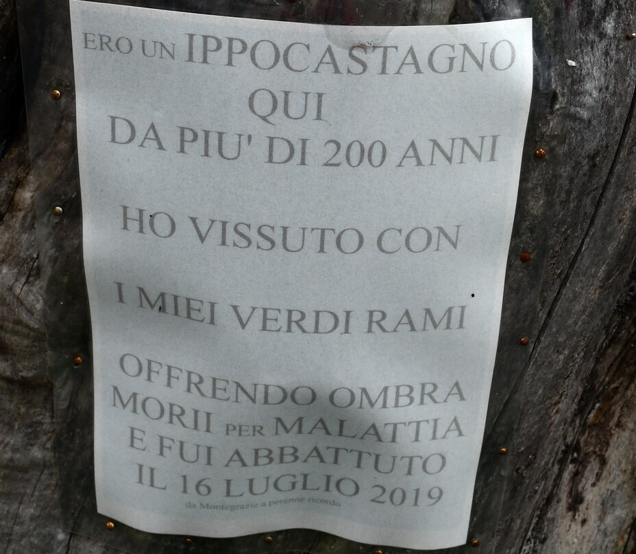 Santuario di Nostra Signora delle Grazie-Montegrazie必去景点