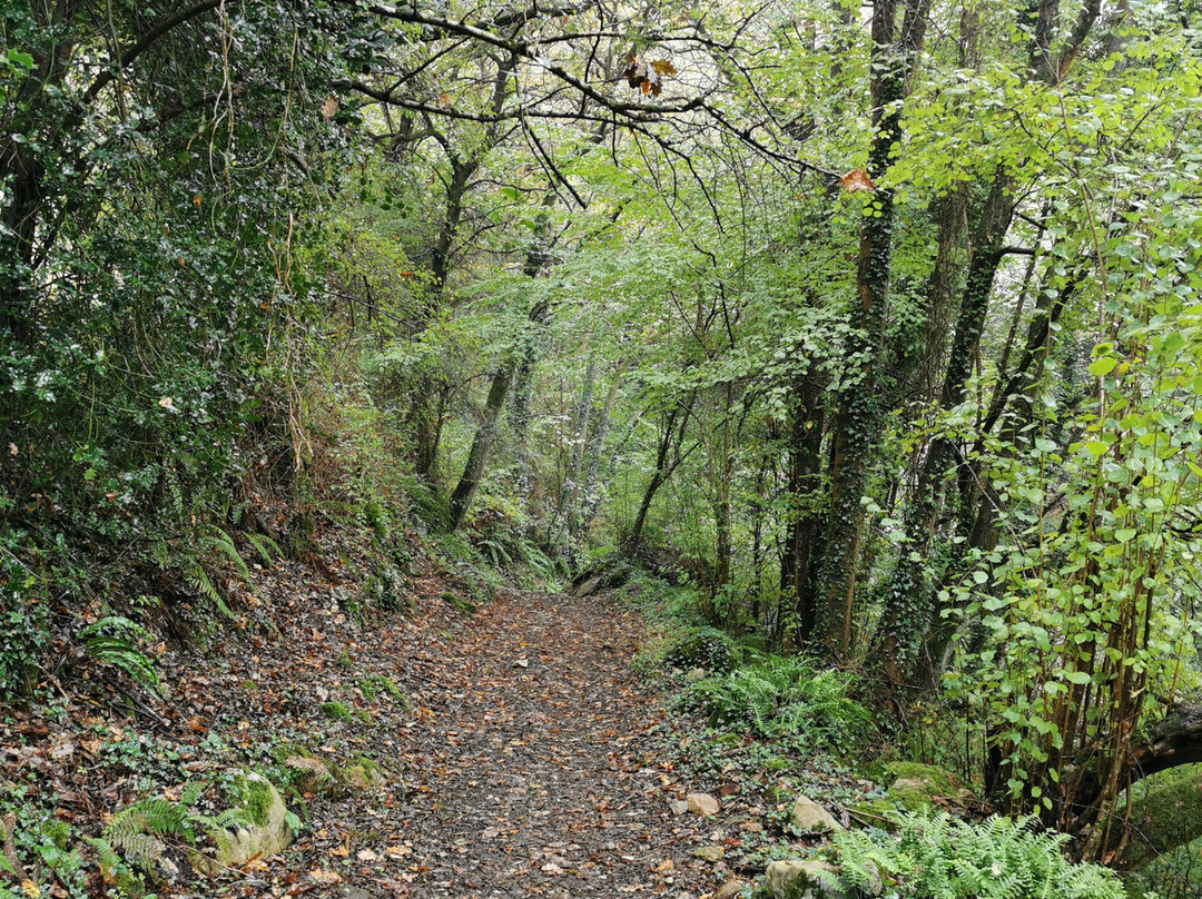 El Camino De Santiago-圣地亚哥德孔波斯特拉必去景点