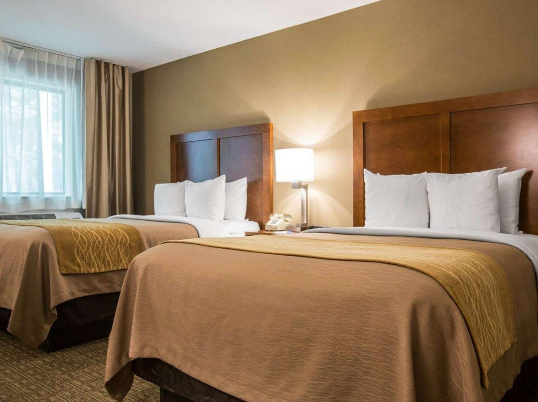 Comfort Inn and Suites Montpelier-Berlin主图