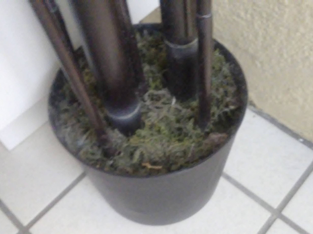 Riviera Resort & Suites主图