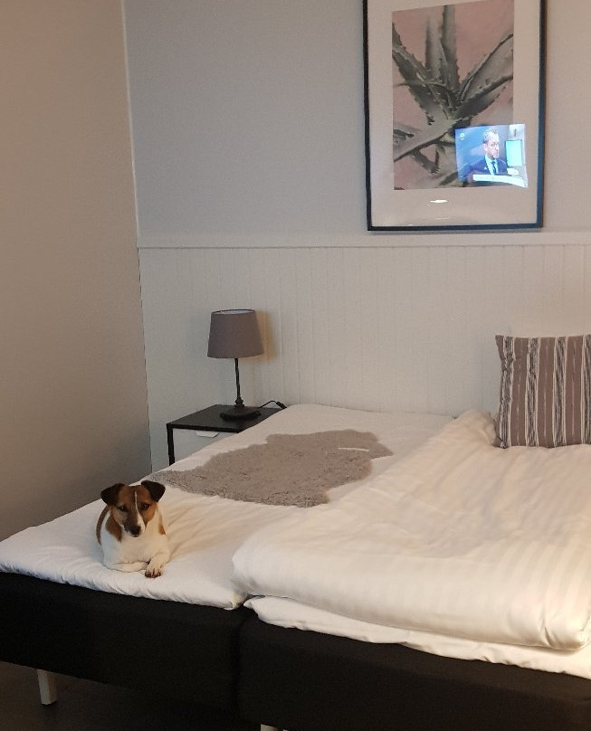 Insense Hotel主图