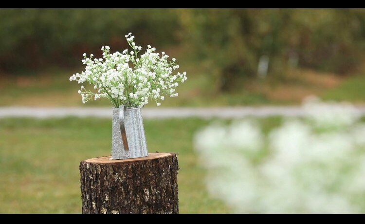 Alyson's Orchard-Walpole必去景点