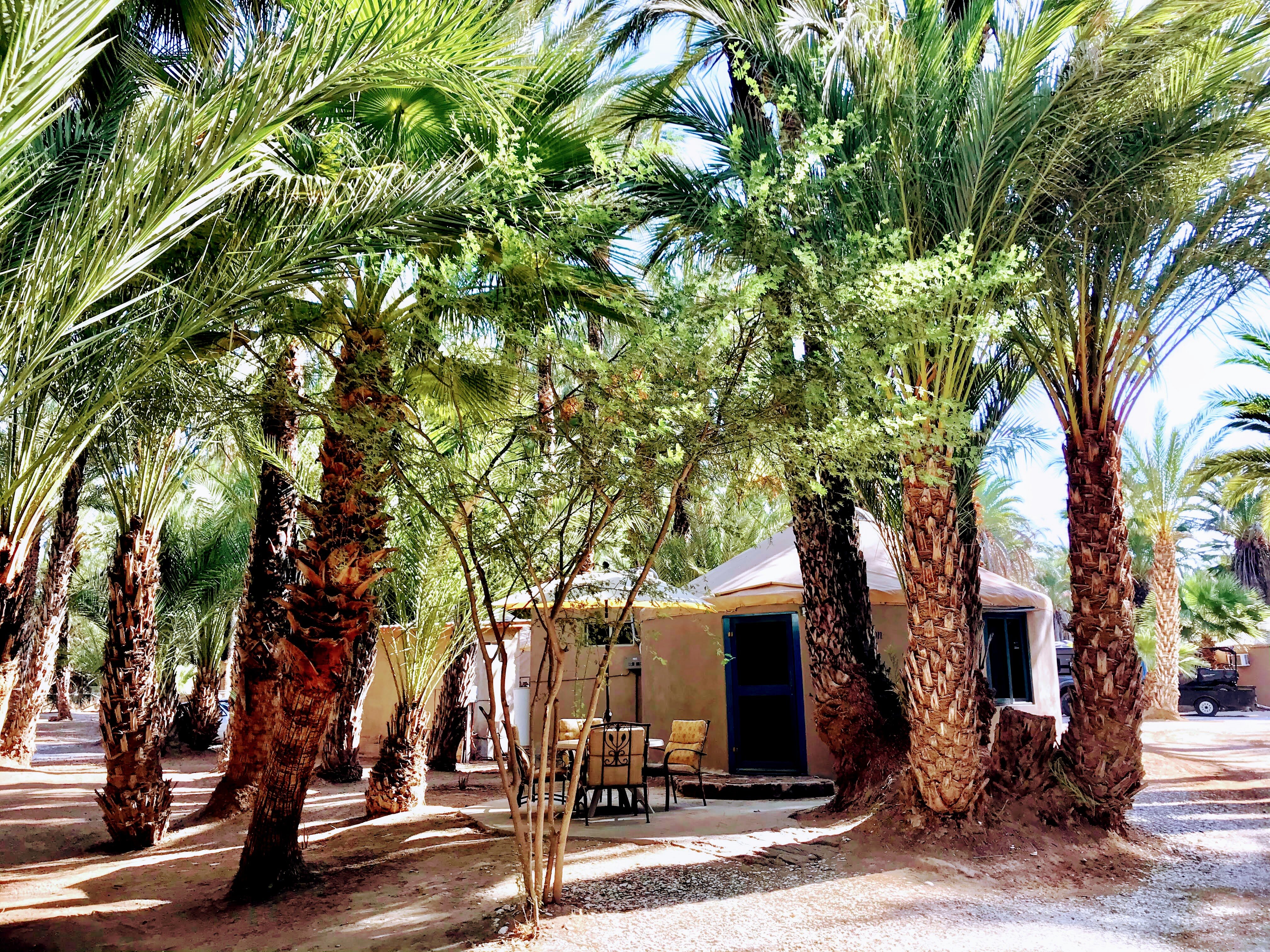 Ignacio Springs Bed & Breakfast-浴室