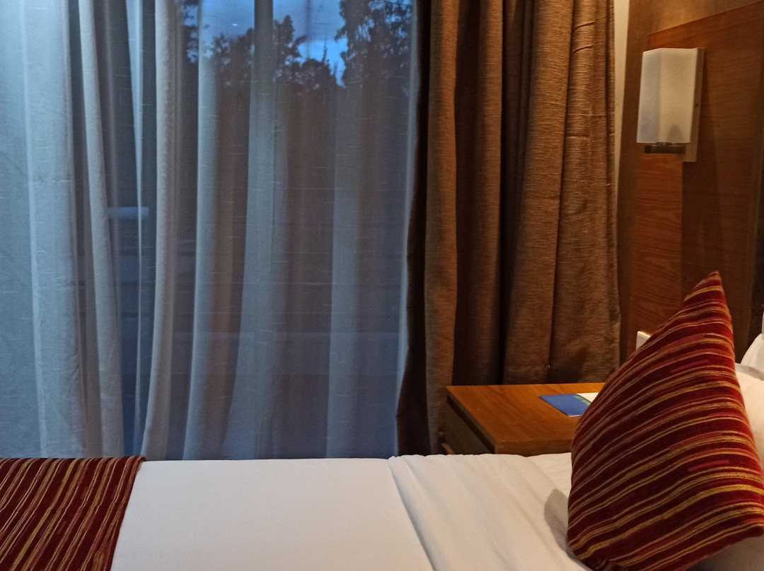 The Alps Hotel主图