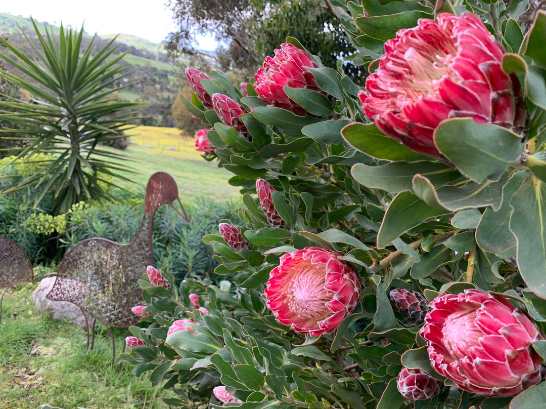 Mica Grange Garden-Sutton Grange必去景点