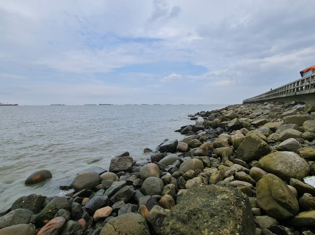 Patenga Beach景点图片