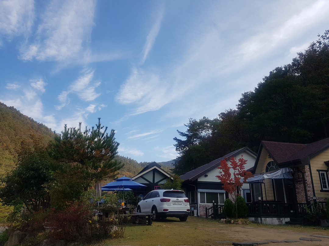 Pine Forest Pension